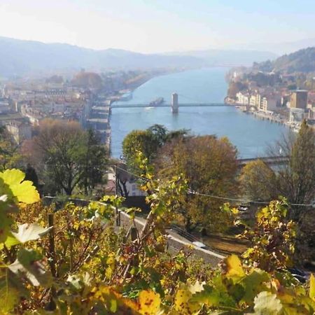 Appartement Vignes 2 Personnes Vienne  Dış mekan fotoğraf